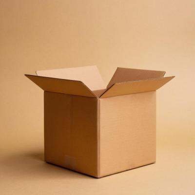 cardboard box carton box 1) (NOUN) kartonowe pudełko {hidden: kartonik}  Have you seen the carton box that I brought today? = Czy widziałeś kartonowe  pudełko, które dzisiaj przyniosłem? Put it in that